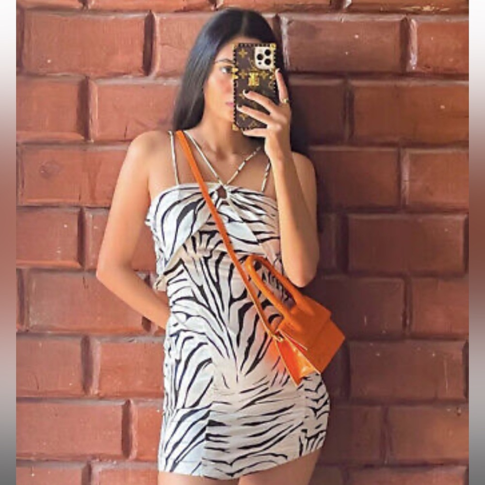 Zara zebra print dress